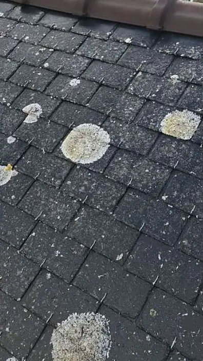 Le même toit en ardoise avant, couvert de lichens