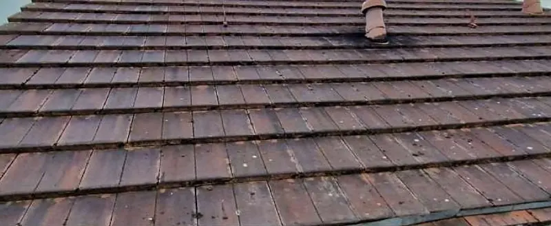 Le même toit avant, couvert de mousse